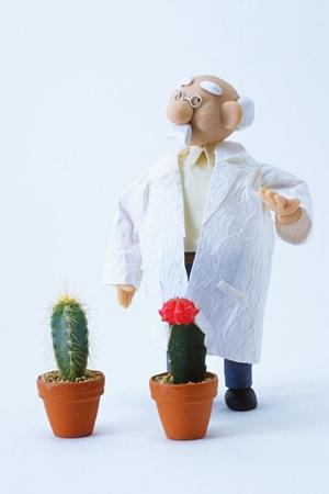 新潟の免許合宿アイランドで免許を